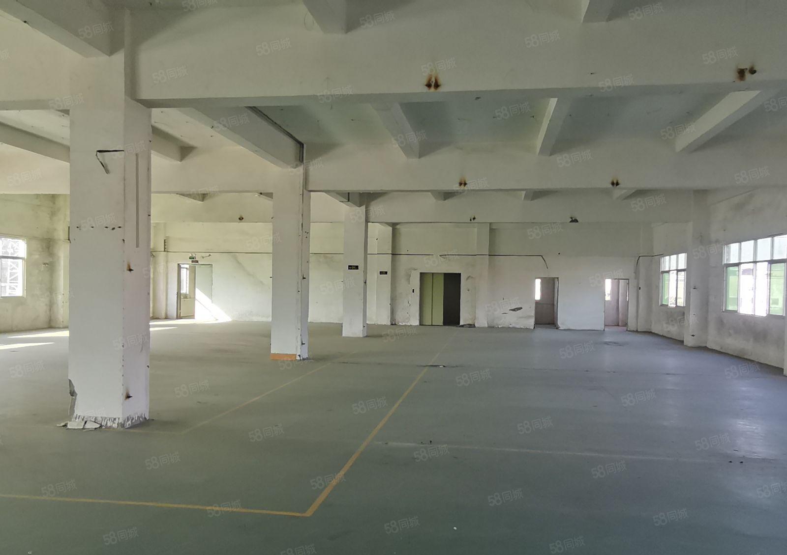 镇隆原房东 经典独院5050平实量面积厂房出租1000平起租