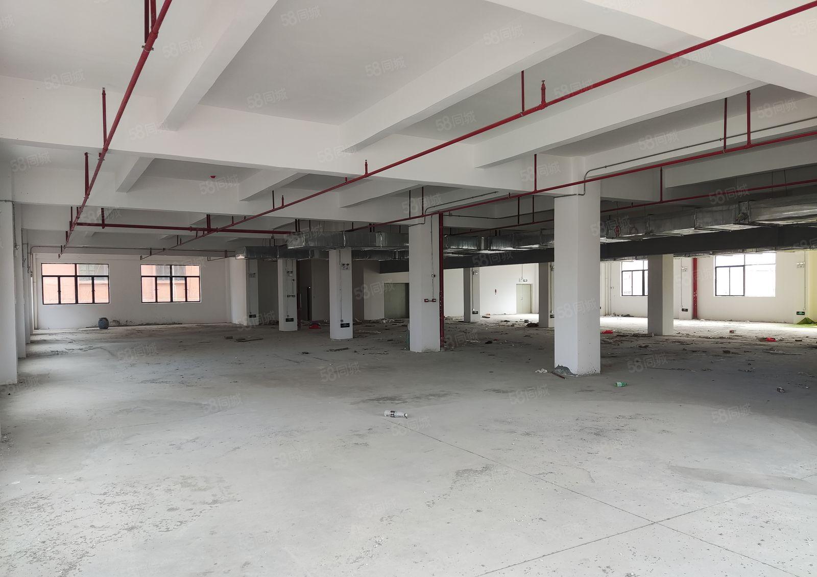 （7000独院）沙田镇田头村全新原房东标准厂房出租，