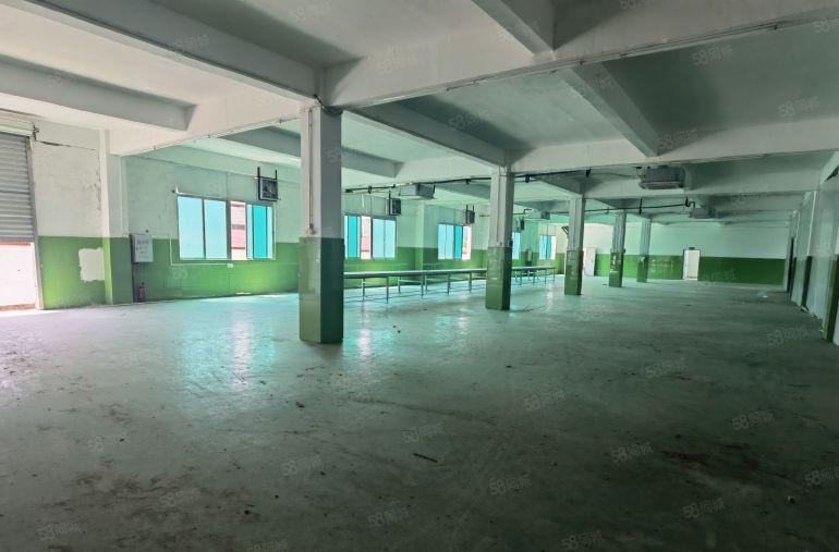 9块钱小独院！2800平原房东村委厂房仓库低价出租，免租年后