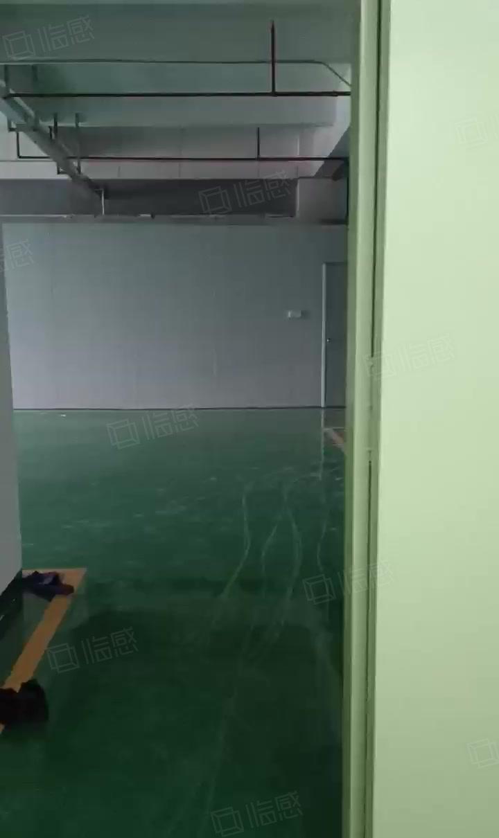 淡水街道全新3000标准无尘车间出租，独立园区变压器电按需