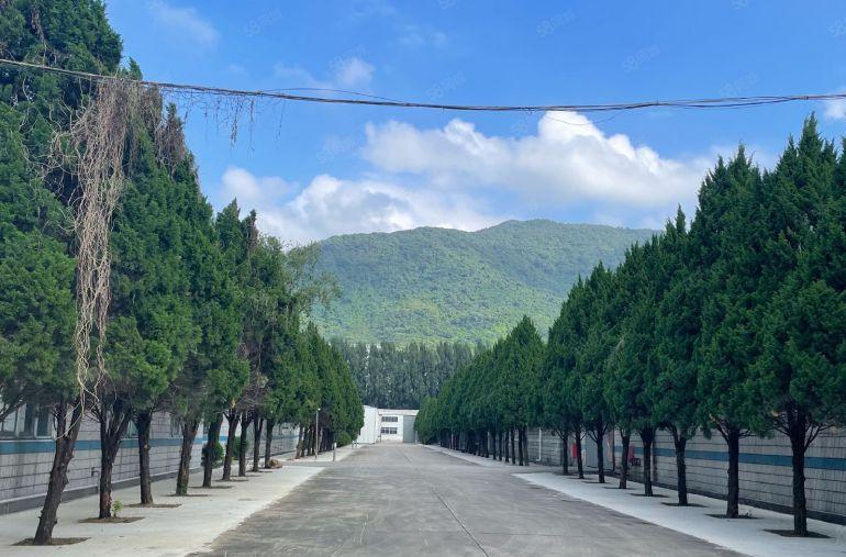 占地6万约场原房东独院钢构位置佳形象好证件齐配套齐空地大