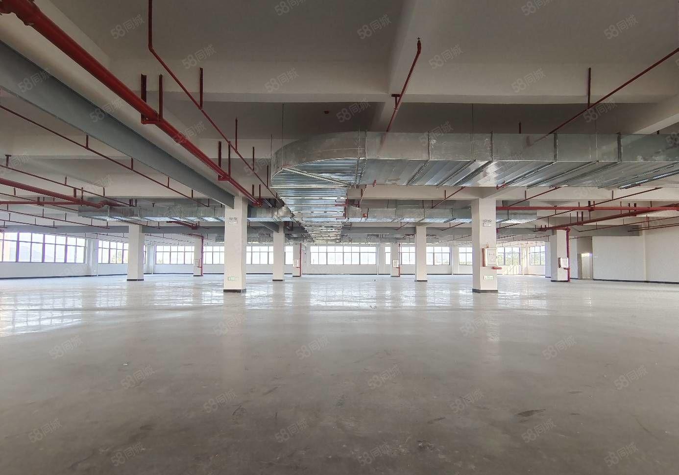 惠阳平潭怡发工业区全新红本标准厂房火热招租 大小面积可分租