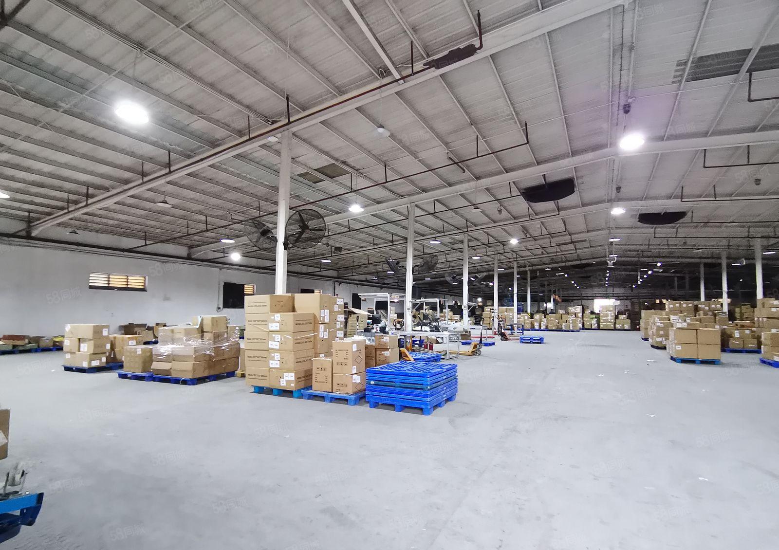 2百5百8百1千平起分租新墟塘口工业区4千平钢构仓库厂房出租