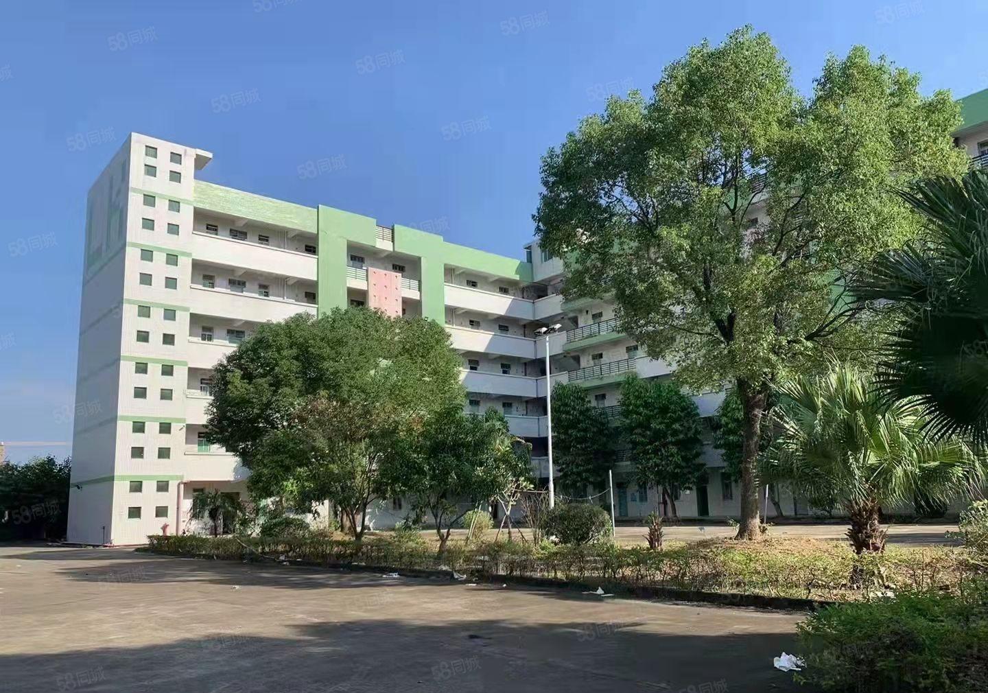 秋长镇主干道旁边花园式厂房27788平方 低价分租证件齐全