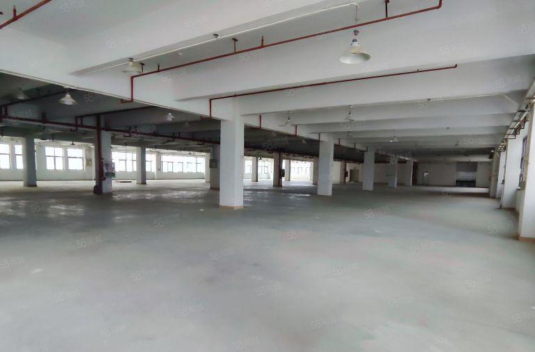 惠阳区秋长原房东标杆之一的高标准厂房百平起租