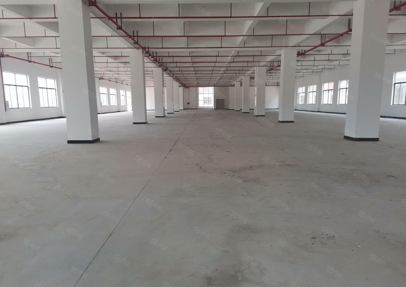 惠阳沙田17000平米原房东独院厂房低价招租