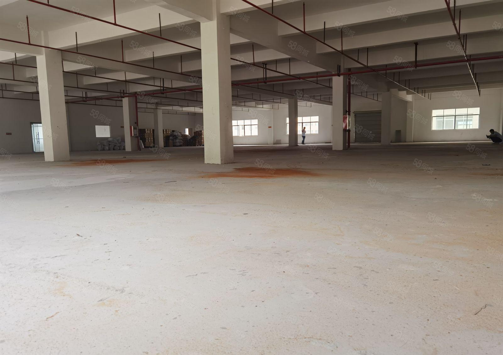 惠州惠阳新圩镇南坑成熟工业园区标准厂房火热招商