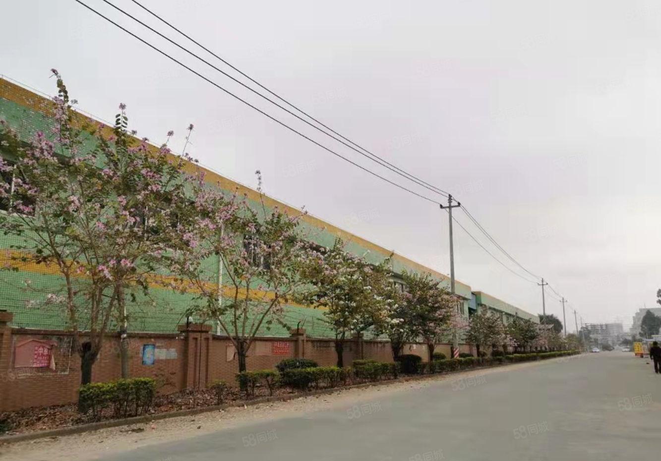 可做污染行业！周边无居民2000每栋8m滴水钢构厂房招租。