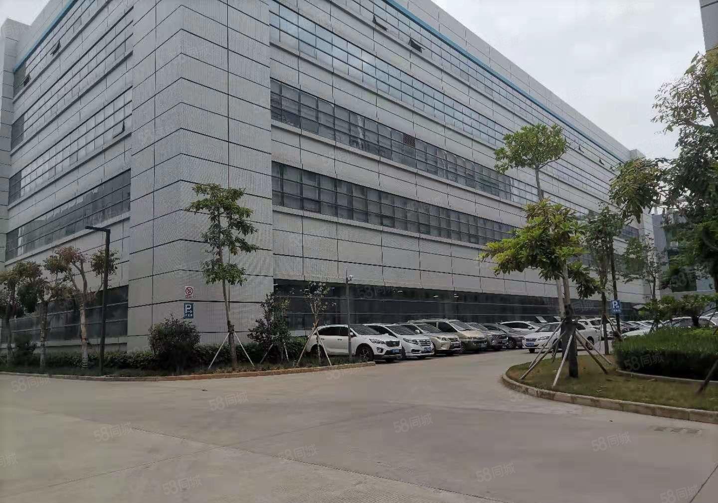 镇隆全新厂房一楼1900平方出租带牛角