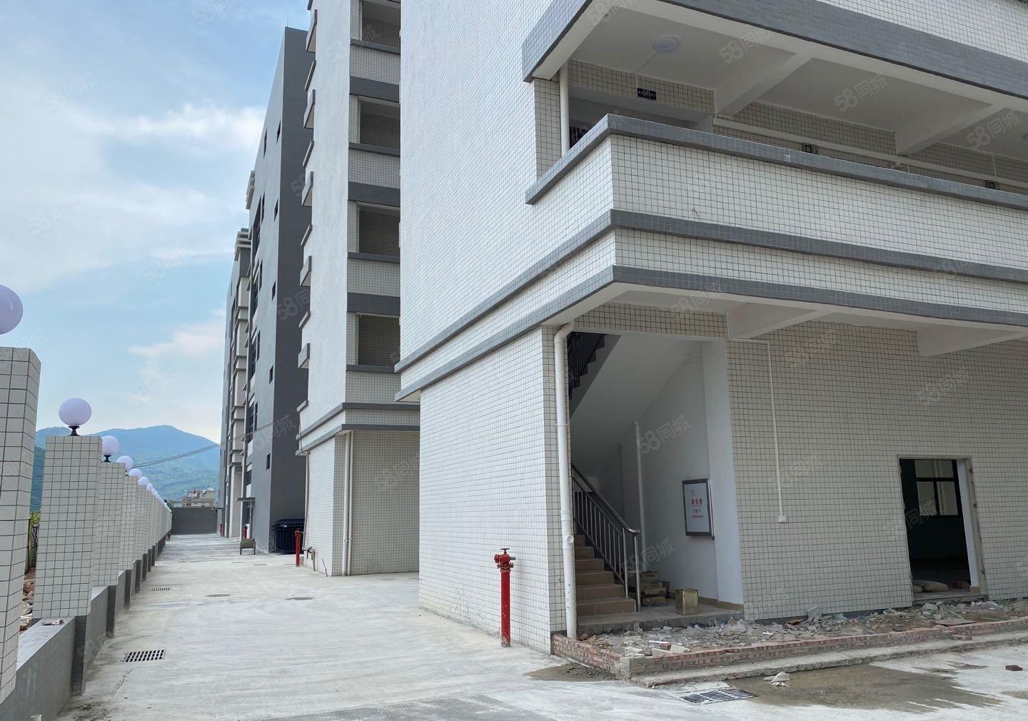 惠阳镇隆稀有独院厂房4万出租可分租可办理环评可做污染行业