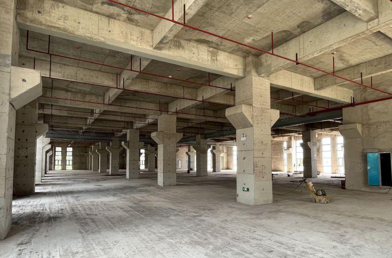 出租惠阳秋长原房东全新红本厂房出租，无公摊带装修