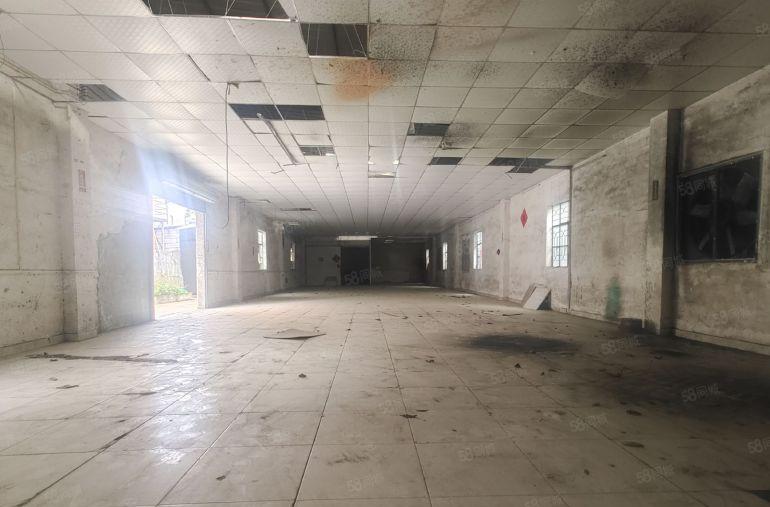 无行业限制独门独院长布独门独院800平钢构厂房