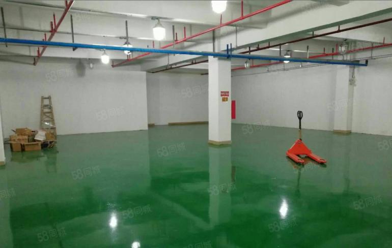 秋长白石新出标准一楼800平方带精装修出租，实际面积