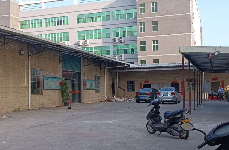 惠阳镇隆甘陂村新出单一层钢结构厂房3300平方米出租