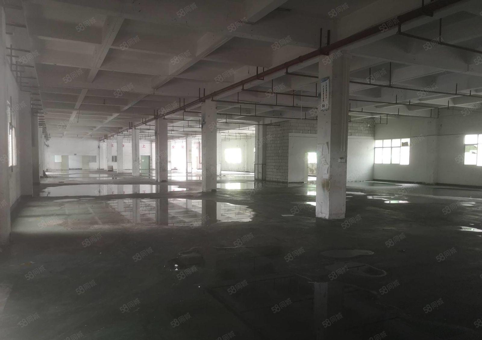 镇隆万里工业区 原房东独院8000平出租 带装修可办环评