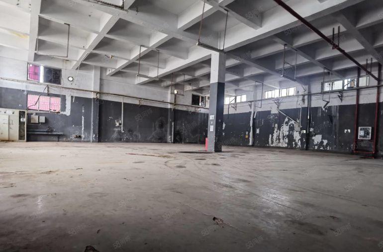 原房东独门独院实用面积13000平方出租