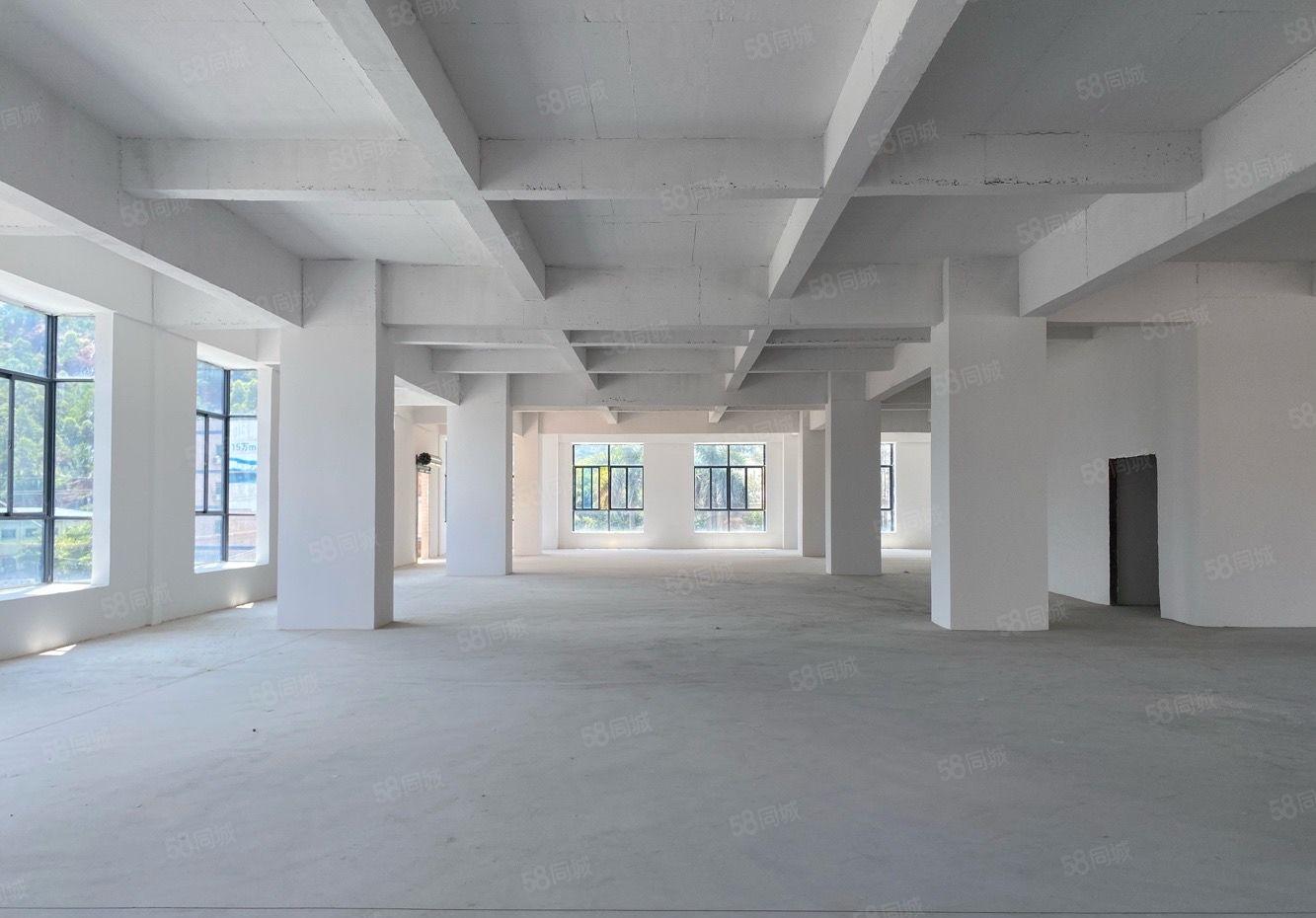 新圩原房东红本6000平独栋全新厂房出租临深临莞路段可分租