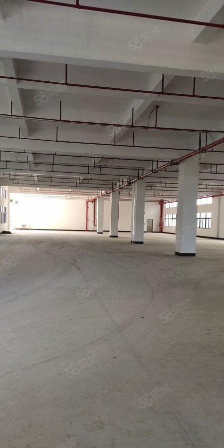 惠阳镇隆稀有独院厂房4万出租可分租可办理环评可做污染行业