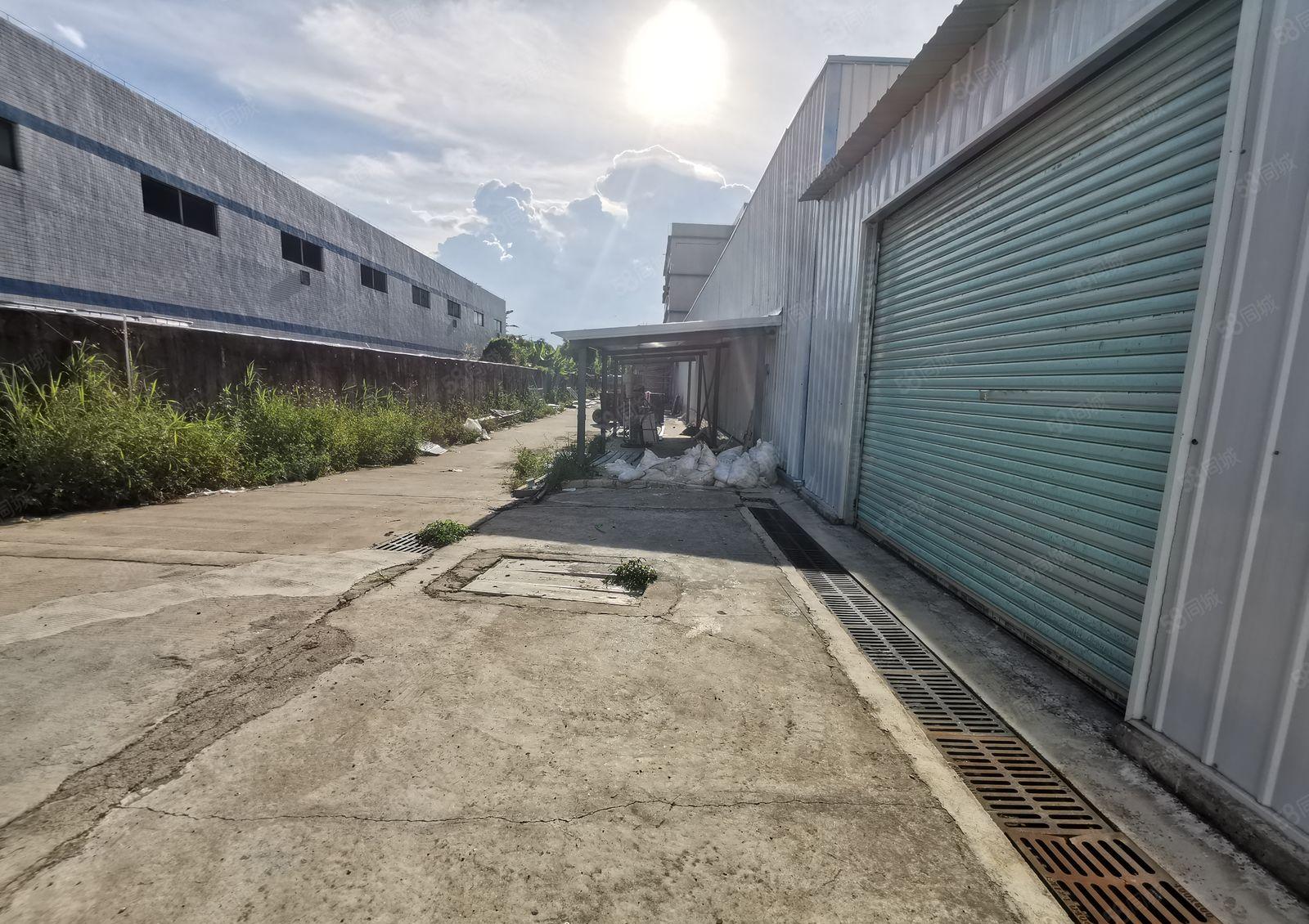 超大空地！秋长滴水8.6米钢结构厂房仓库低价出租3200平