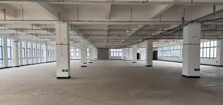 全新三和8元精装修原房东厂房出租500平起租