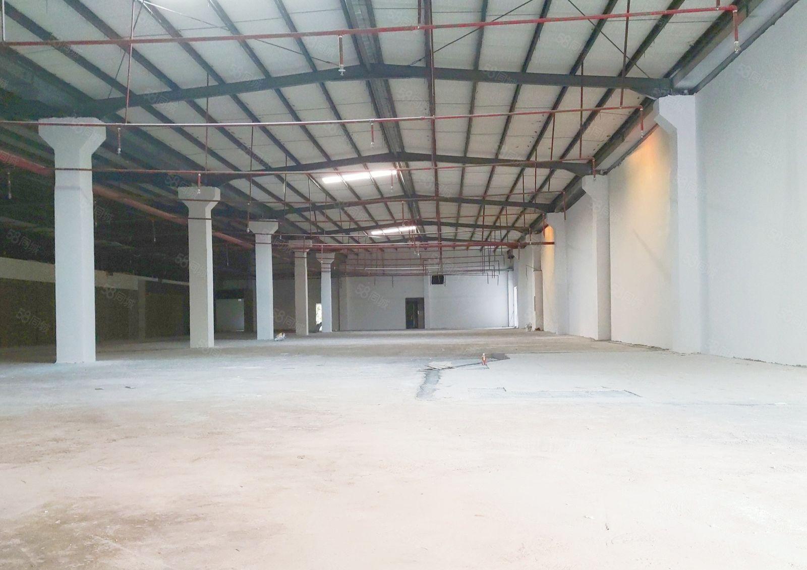 惠阳淡水白云六路 1650平 独院钢构 可做物流仓储