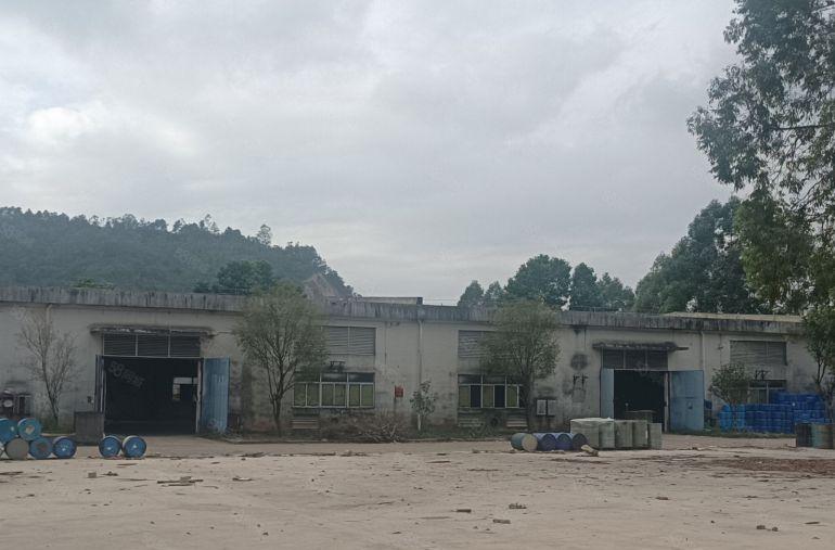 （大小分租）惠阳新圩新出靠山边红本独院钢结构厂房24000平