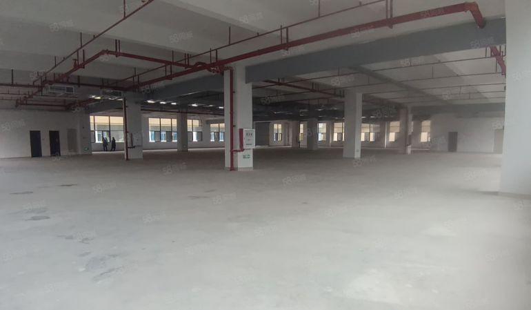 惠州市惠阳区原房东0公摊全新国有双证厂房超低价出租