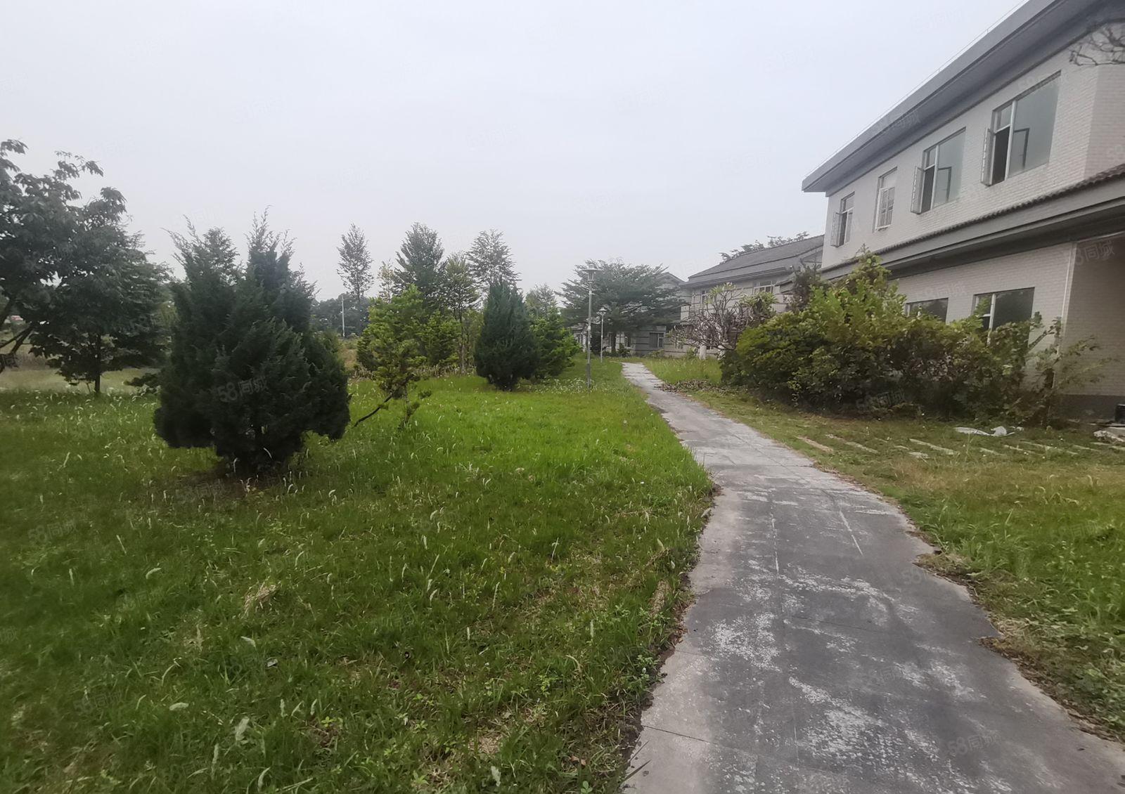 惠州仲恺高新区森林工厂之称8000平米花园式厂房出租有红本