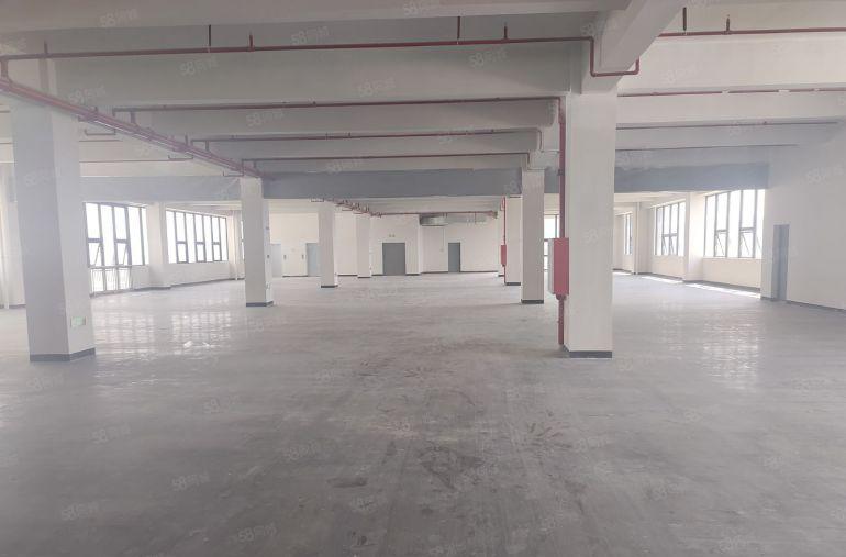 惠州秋长三和5吨货梯大空地全新厂房仓库特价9元出租大小分租