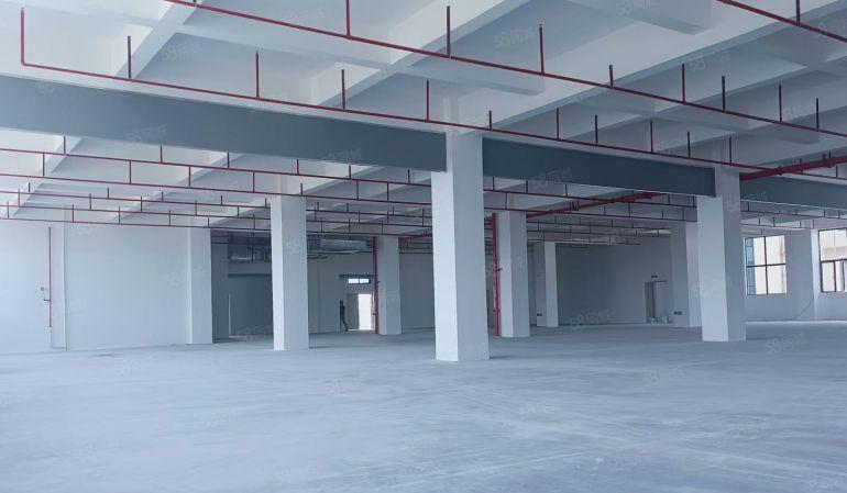 惠阳镇隆厂房出租130970平方可分四个独院