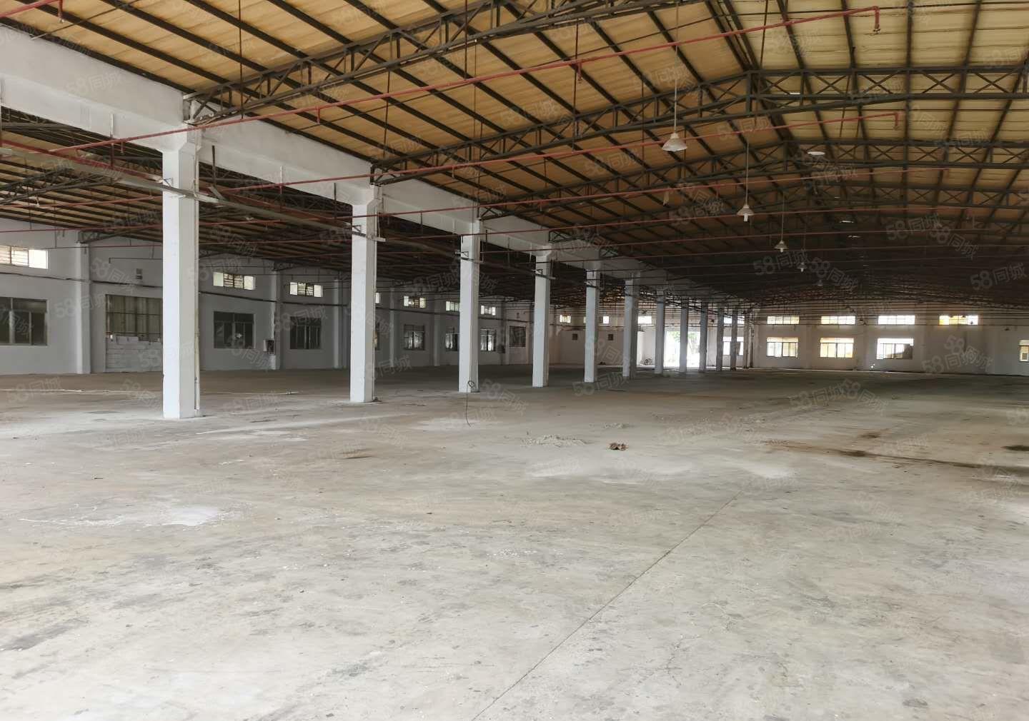 惠州惠阳区秋长镇白石村原房东滴水8米独院钢构厂房4600平米