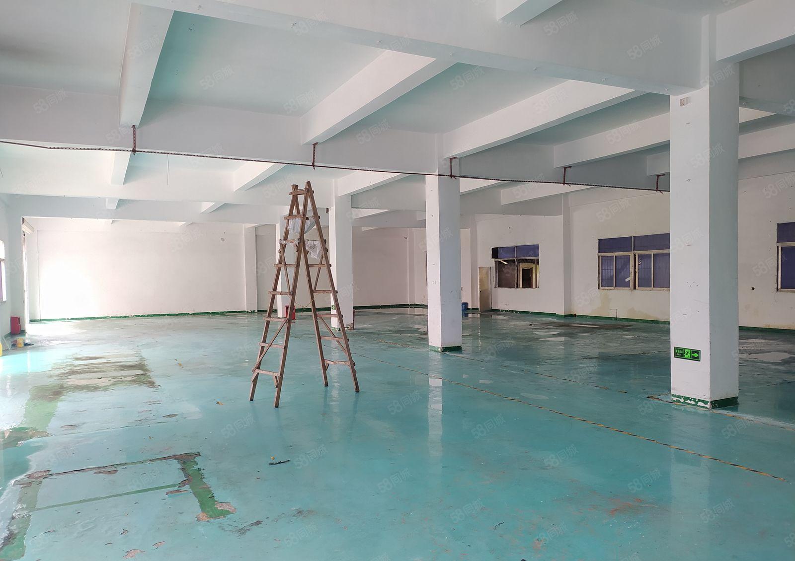 惠州惠阳新圩独门独院厂房出租5000平大小分租带装修好进车