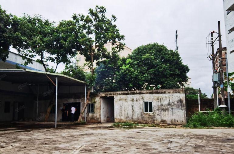 维布出租独门独院钢构厂房1100平米