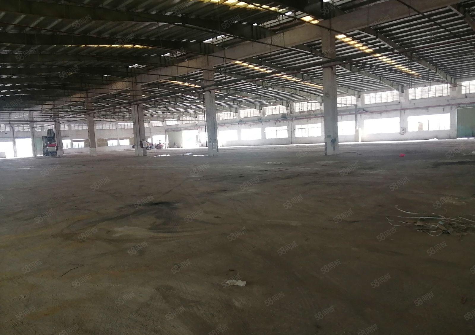 镇隆中仁工业园带红本标准厂房8000招租，可分租，层高9米