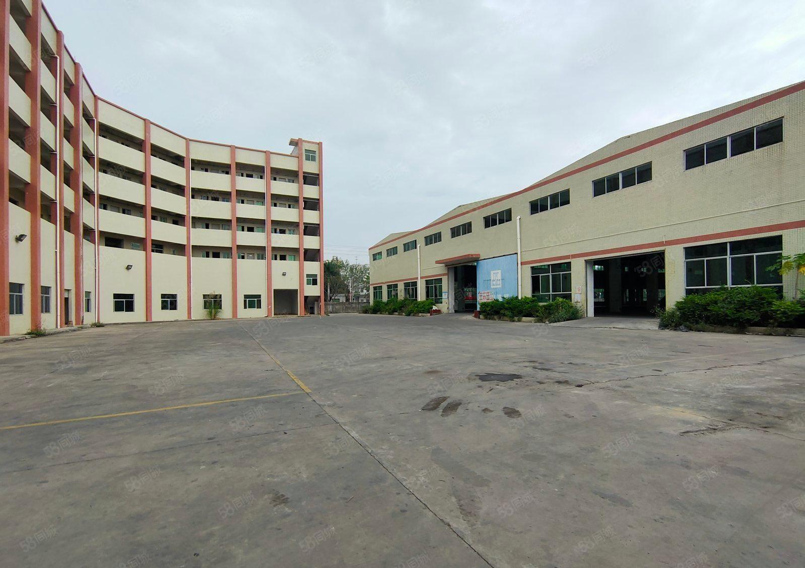 镇隆单一层钢结构9米高红本厂房12000平米出租（可分租）