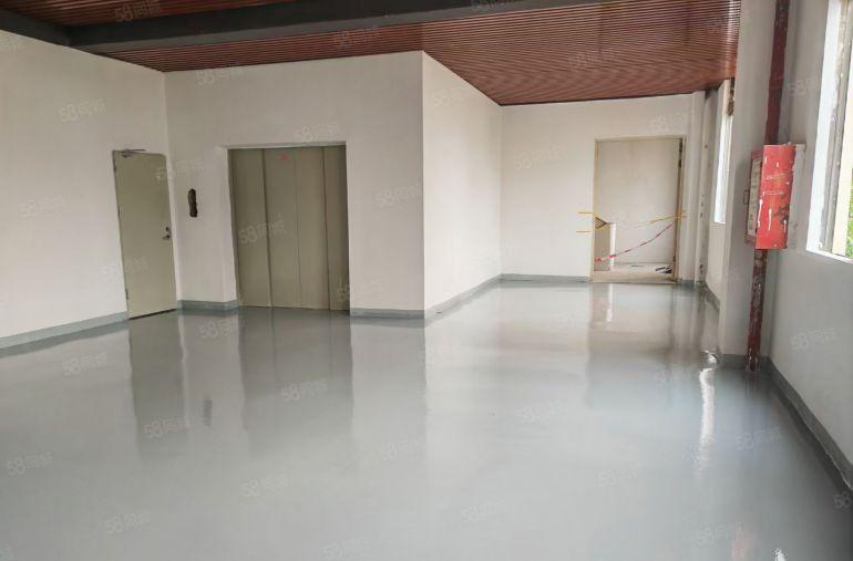 淡水中心区，大小面积均可分租，包隔墙，带装修厂房仓库出租