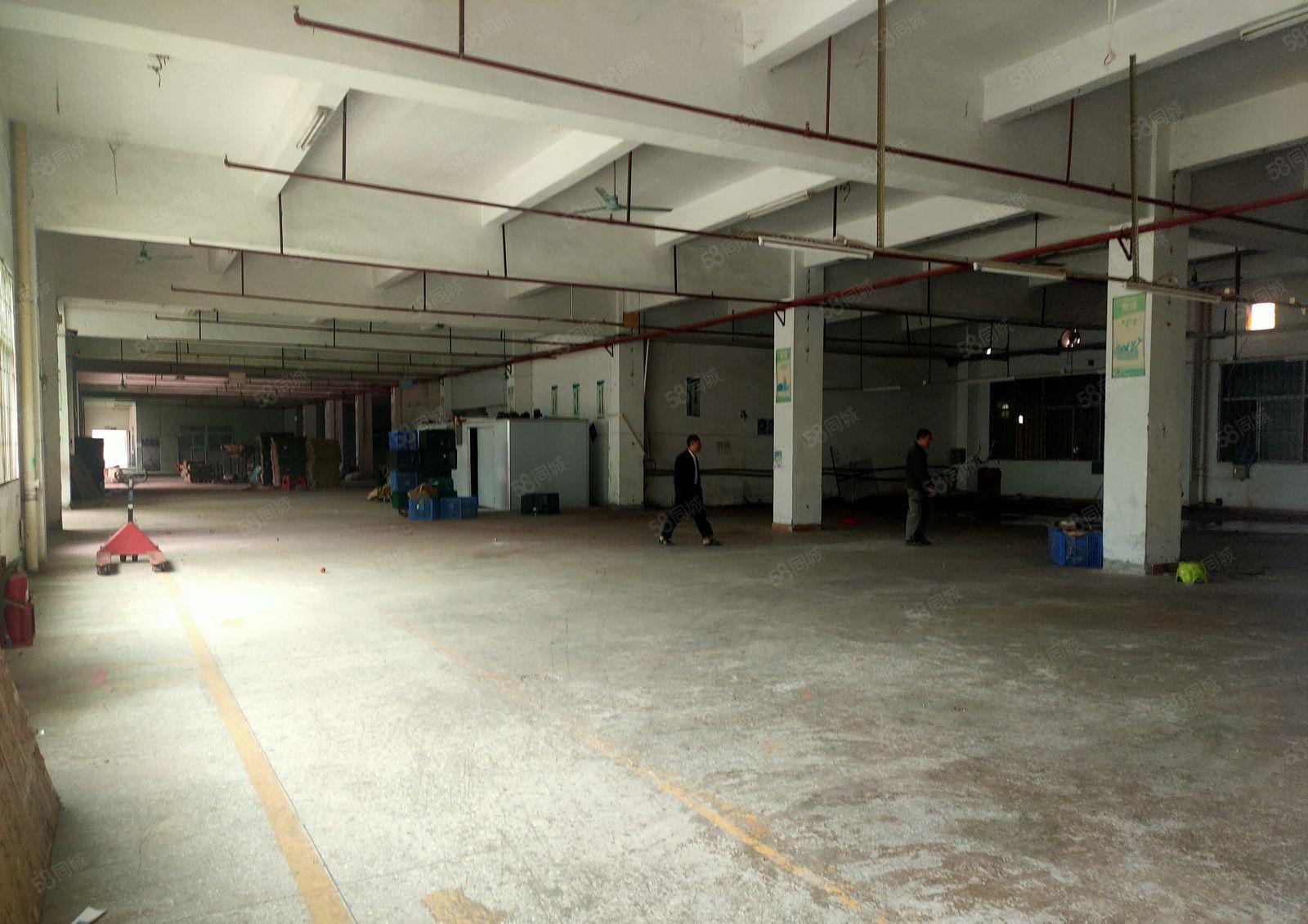 惠阳区三和经济开发区新出标准厂房17930平