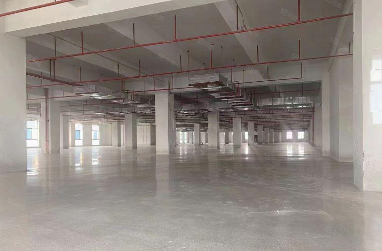 惠州惠阳沙田镇全新红本厂房10元