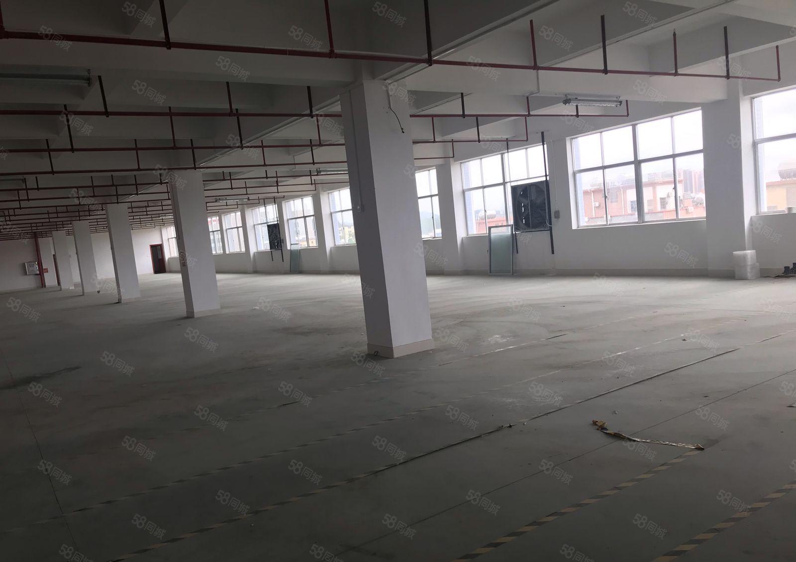 新圩长布楼上厂房仓库500平1000平出租