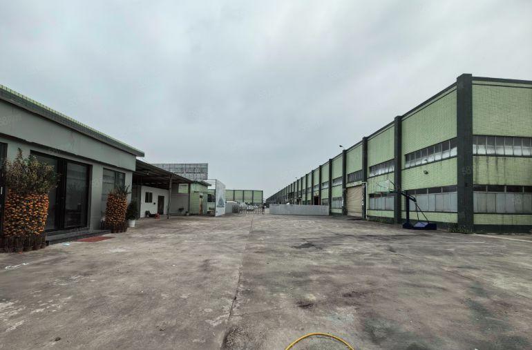 空地超大现成办公室镇隆2400平原房东独门独院钢结构厂房出租