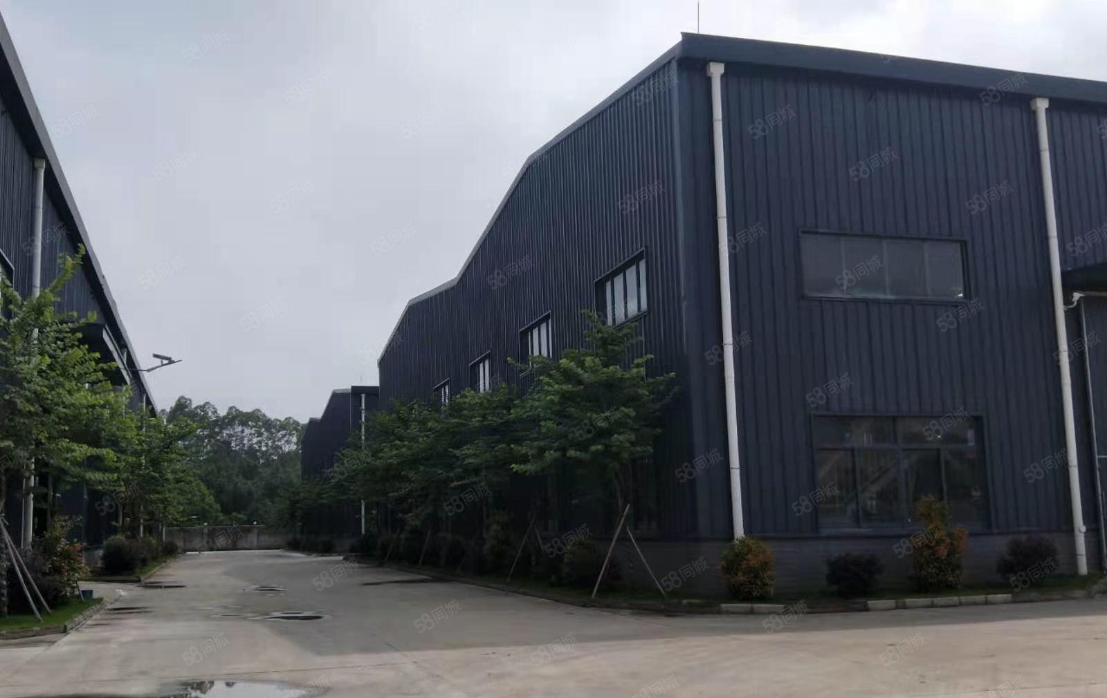 镇隆原房东钢构12000平方，滴水10米业主直租