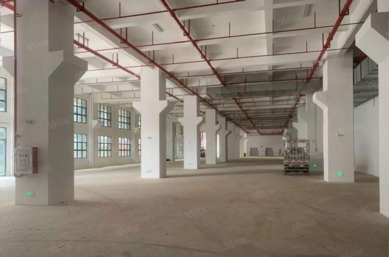 9块！淡水中心区原房东厂房8000平米仓库出租带精装修可分租