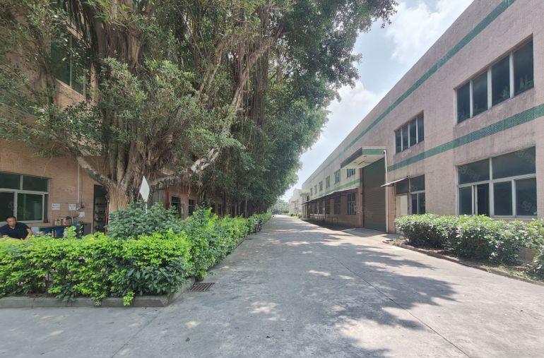 秋长新塘6000平滴水7.5米原房东单一层厂房仓库出租可分