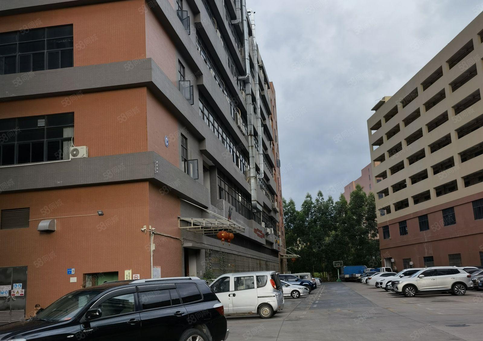 10元起租 镇隆第二工业园20000平方厂房仓库出租大小可分