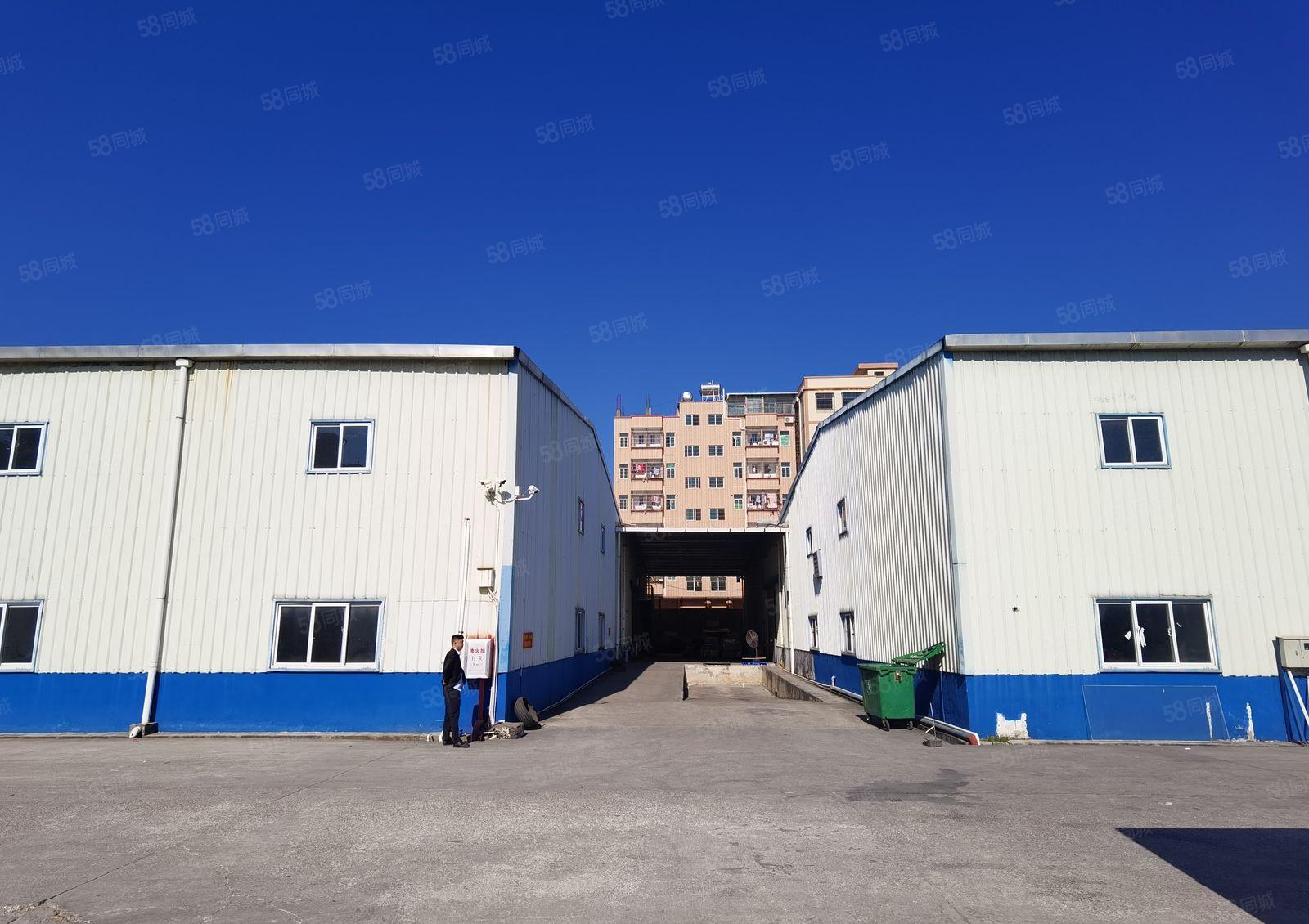 惠阳区沙田镇国道旁独院钢结构2栋滴水九米高3600平出租可分