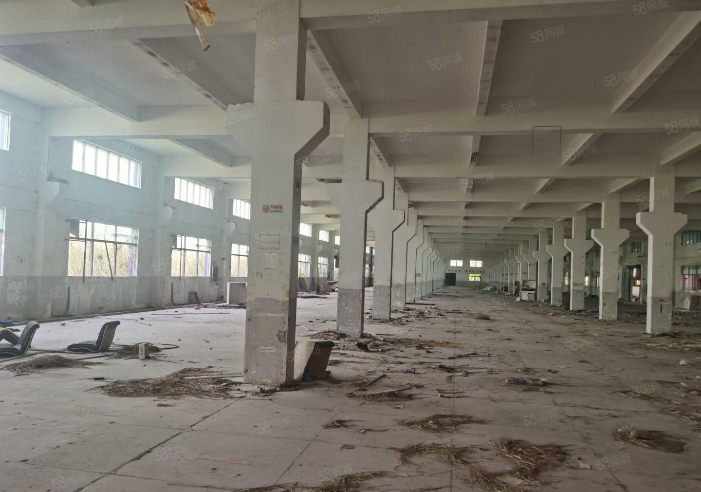 惠阳新圩约场花园式厂房88000平方大小分租