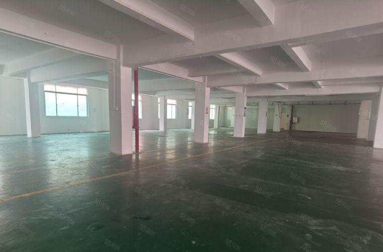 惠阳秋长维布原房东标准厂房出租