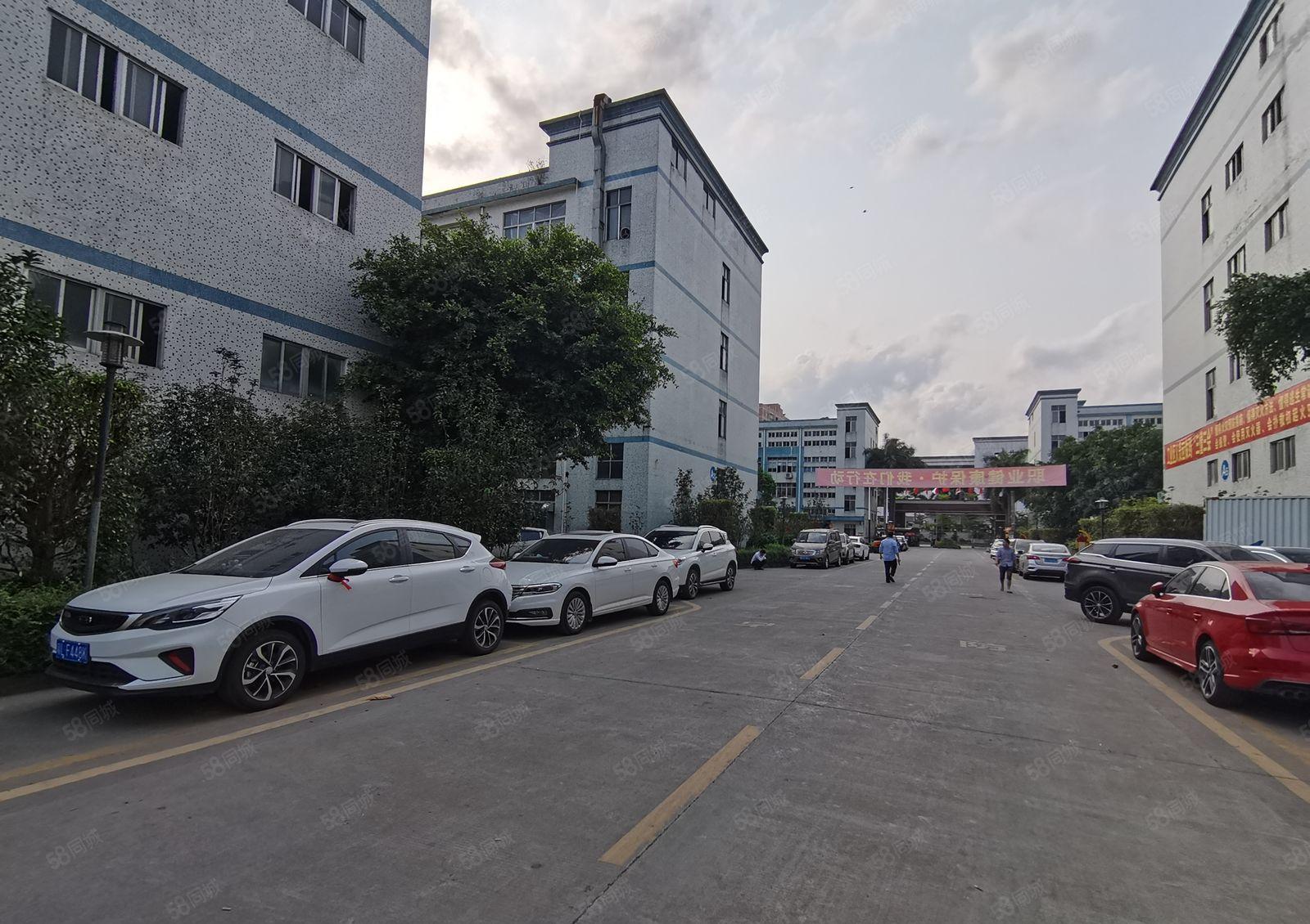 镇隆全新独门独院8000平一楼层高7米现成环评原房东厂房仓库