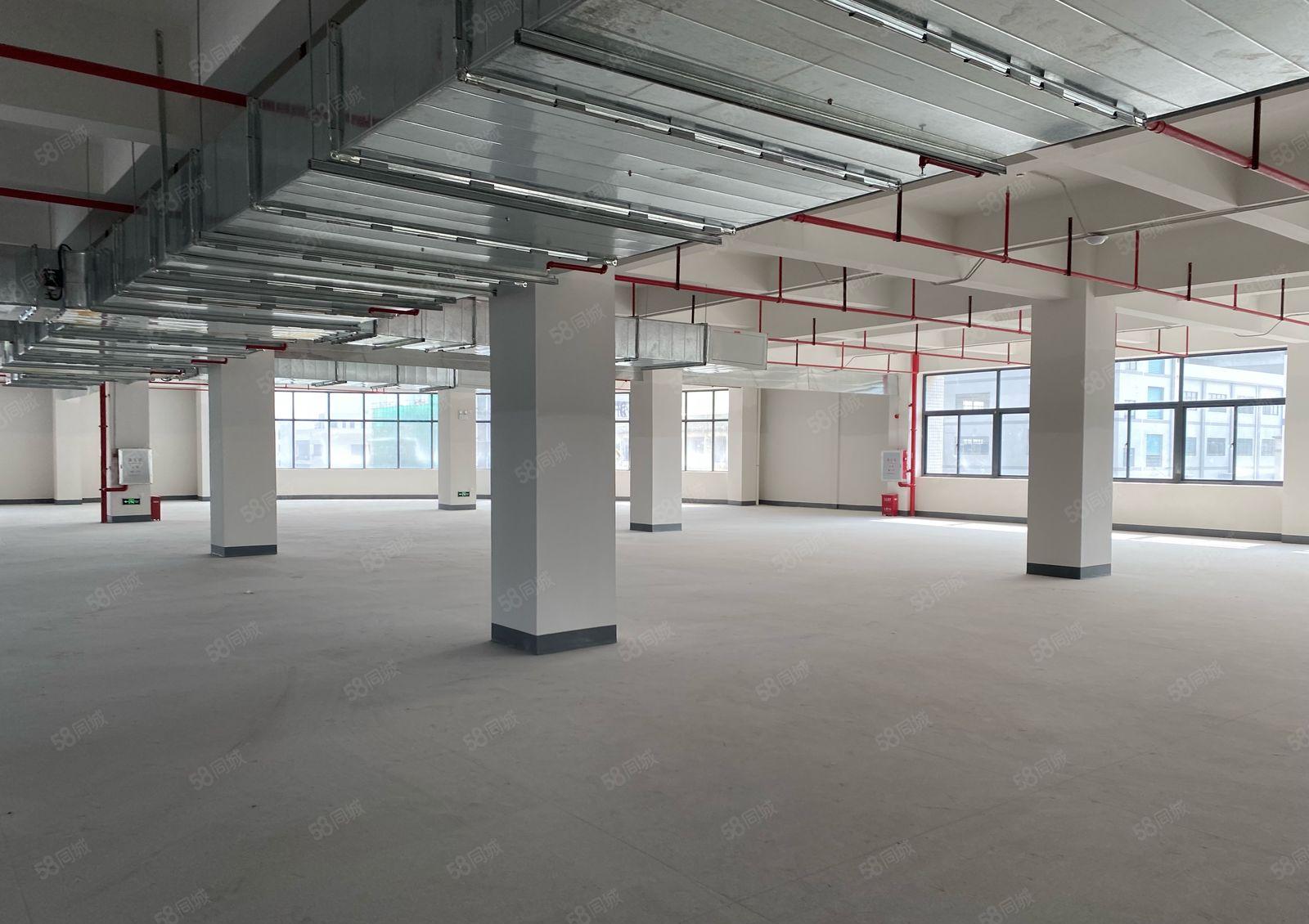 全新厂房（宿舍配套），交通便利