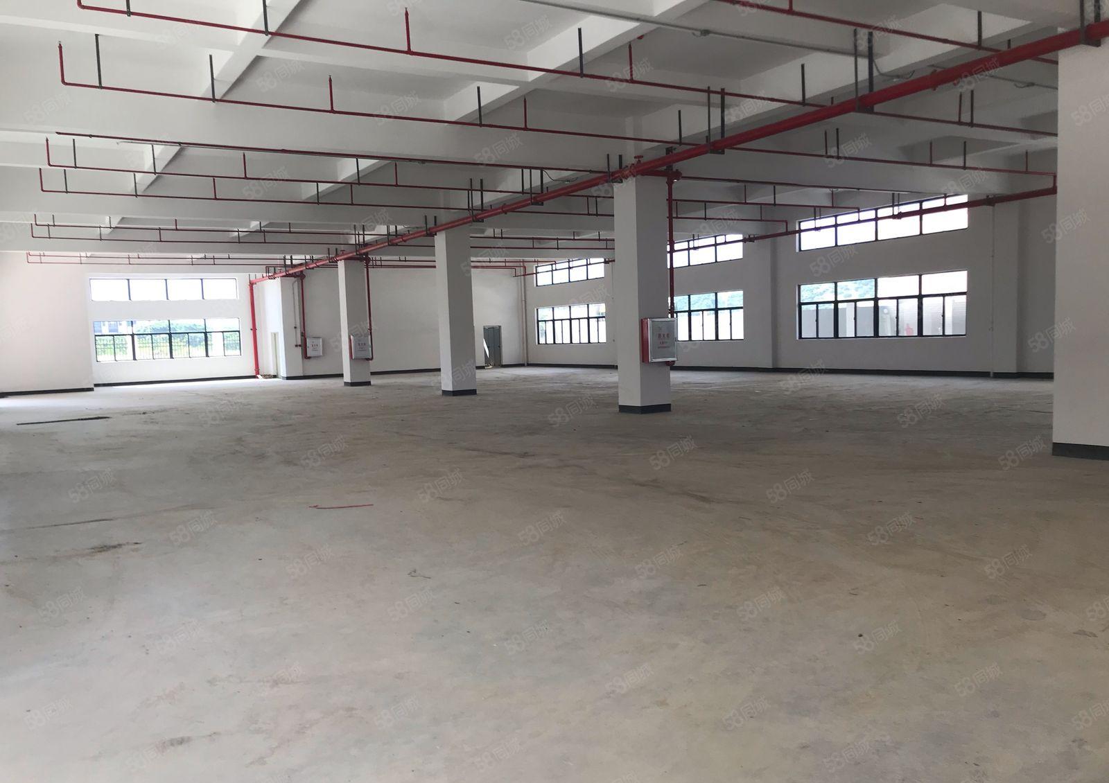 镇隆高速口全新厂房独栋8000平出租1000平起租